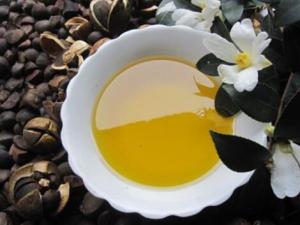 茶油的功效與作用-茶油怎么吃?