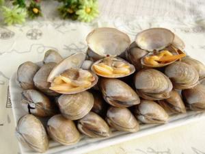 黃蜆子的功效與作用-黃蜆子的營養價值