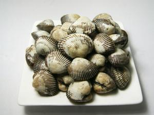 毛蚶怎么做好吃？毛蚶的簡介-毛蚶的做法