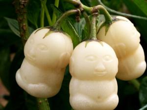 人參果怎么吃最養生？人參果的功效和作用