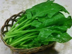 吃菠菜有什么好處？菠菜的功效與營養價值