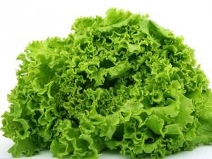 吃生菜有什么好處？生菜的營養價值及功效