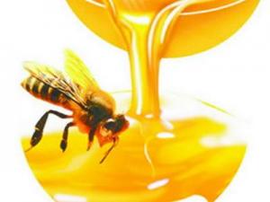 吃蜂膠有什么好處？蜂膠的作用與功效