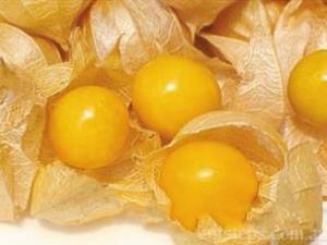 |ʲôˮBĠIBrֵˎÃrֵ