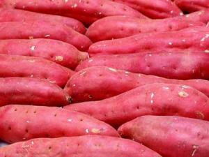 吃紅薯有什么好處？紅薯的營養價值