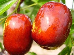 吃紅棗有什么好處？紅棗的營養價值