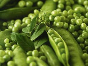 吃青豆有什么好處？青豆的功效與作用，青豆營養(yǎng)價值