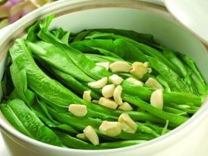 油麥菜的營(yíng)養(yǎng)價(jià)值-油麥菜的食用禁忌