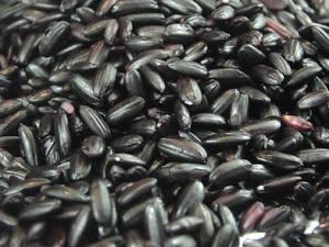 黑米的功效與作用-黑米的營養價值