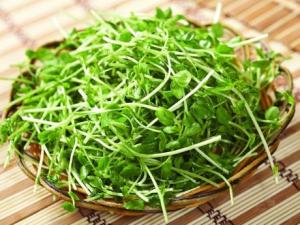 豆苗的功效與作用-豆苗的營養價值