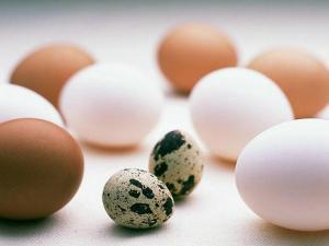 鵪鶉蛋的營養價值比雞蛋高嗎？鵪鶉蛋與雞蛋營養價值