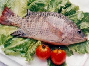 吃魚肉的營養價值高：吃帶魚可保持皮膚濕潤彈性