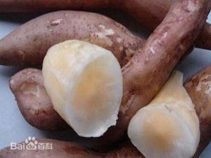 雪蓮果怎么吃？雪蓮果的功效與作用