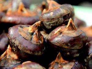 吃馬蹄有什么好處?馬蹄/荸薺的功效與作用