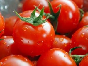 圣女果是轉基因嗎？圣女果的營養價值、功效與作用