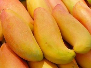 芒果的營養(yǎng)價(jià)值、功效與作用、食用禁忌