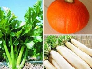 什么食物維生素a多？維生素a的作用及功能