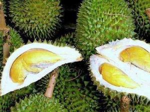榴蓮的營養價值、功效與作用、食用禁忌