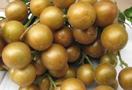 SƤĠI(yng)B(yng)r(ji)ֵ-SƤĹЧc