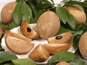 人心果的營養價值-人心果的功效與作用