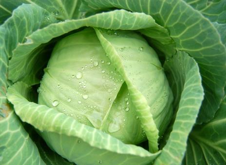 Ĳ˵ĠIBrֵ-Ĳ˵ĹЧc