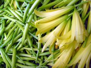 黃花菜怎么做好吃？黃花菜的功效與作用