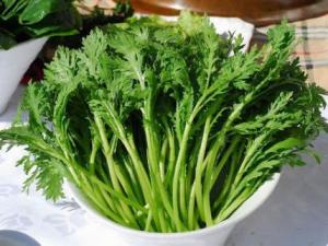 茼蒿怎么做好吃？茼蒿的營養價值、功效與作用