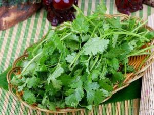 香菜怎么吃?香菜的營養(yǎng)價值、功效與作用
