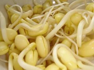 吃黃豆芽好嗎?黃豆芽的營(yíng)養(yǎng)價(jià)值、功效與作用