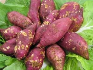 紅薯的營養價值-紅薯的功效與作用