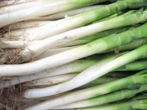 蔥的營養價值-蔥的功效與作用