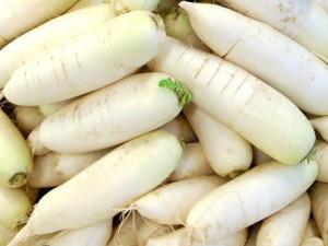 白蘿卜的營養價值-白蘿卜的功效與作用