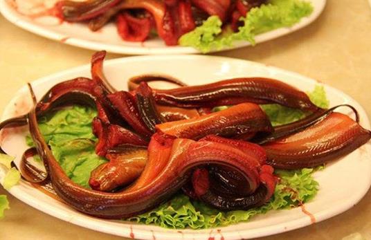 吃黃鱔魚有什么好處?黃鱔的營養價值與功效