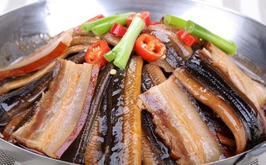 吃黃鱔魚有什么好處?黃鱔的營養價值與功效