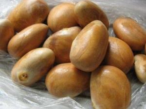 }۵ĺܳԆ᣿}۵ĺôԣԲ}ۺ˵ע