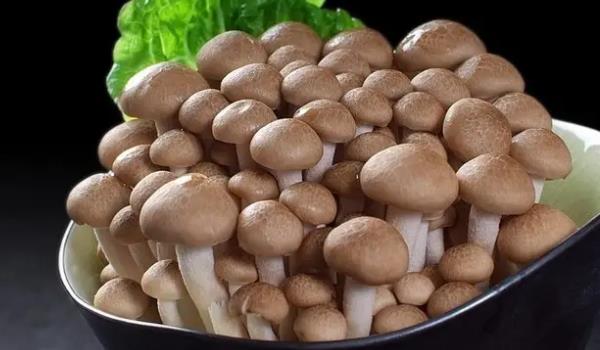 зζL(zhng)ʲôӵĈDƬ зζЩЧc