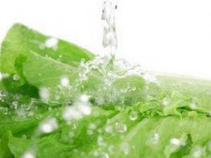 蔬菜農(nóng)藥殘留怎么辦？洗菜的小訣竅
