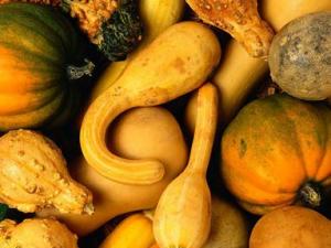 怎樣挑選南瓜？南瓜的挑選方法