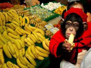 如何挑選香蕉?什么樣的香蕉好吃