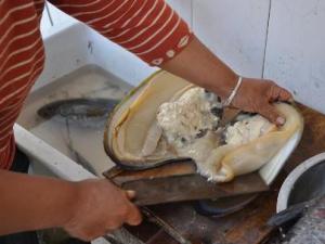 河蚌怎么洗才干凈？河蚌怎么做好吃？河蚌肉的做法