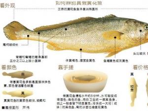 黃花魚選購技巧:教你如何辨別“染色黃花魚”