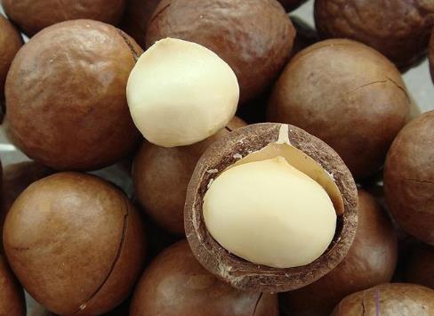 夏威夷果怎么開(kāi)?吃夏威果的注意事項(xiàng)