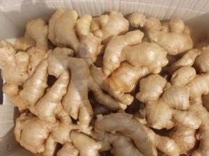 夏季如何保存生姜？夏季保存生姜的小竅門(mén)