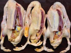 如何鑒別鴨肉是否鮮嫩？鑒別鴨肉老嫩的技巧