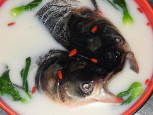 怎樣做魚頭好吃？魚頭的各種吃法