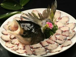 如何辨別常見的淡水魚？常見淡水魚的鑒別方法