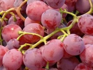 如何挑選提子?挑選提子的小技巧