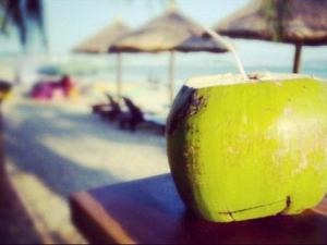 如何挑選新鮮椰子?椰子的挑選方法