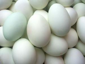 如何辨別真假鴨蛋？識別假鴨蛋的方法