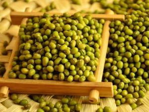 怎樣識別綠豆的好壞?如何挑選優質綠豆